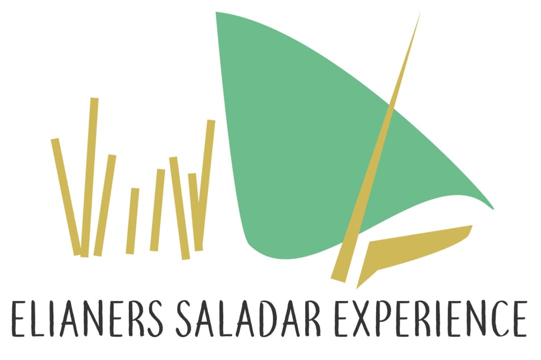 Elianers Saladar Academy logo